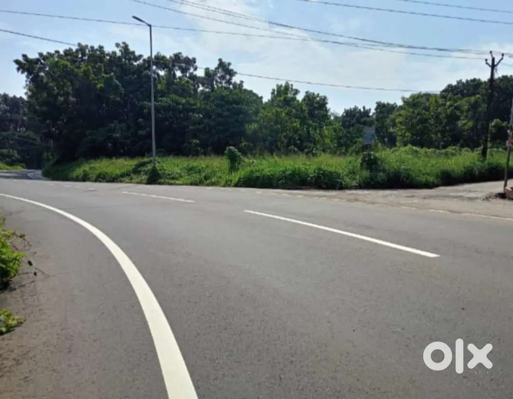 Puthencuriz, madhura deshya patha freandage plot for sale.