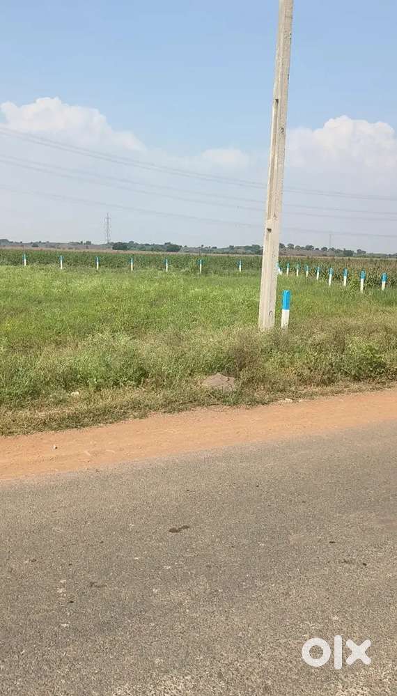 66 cnts per cnt 1 laks in orvakal plot for sale