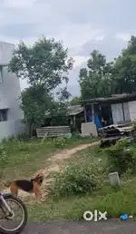 Podanur Chettipalayam L&T Near VG Garden phase 1 (DTCP Site)