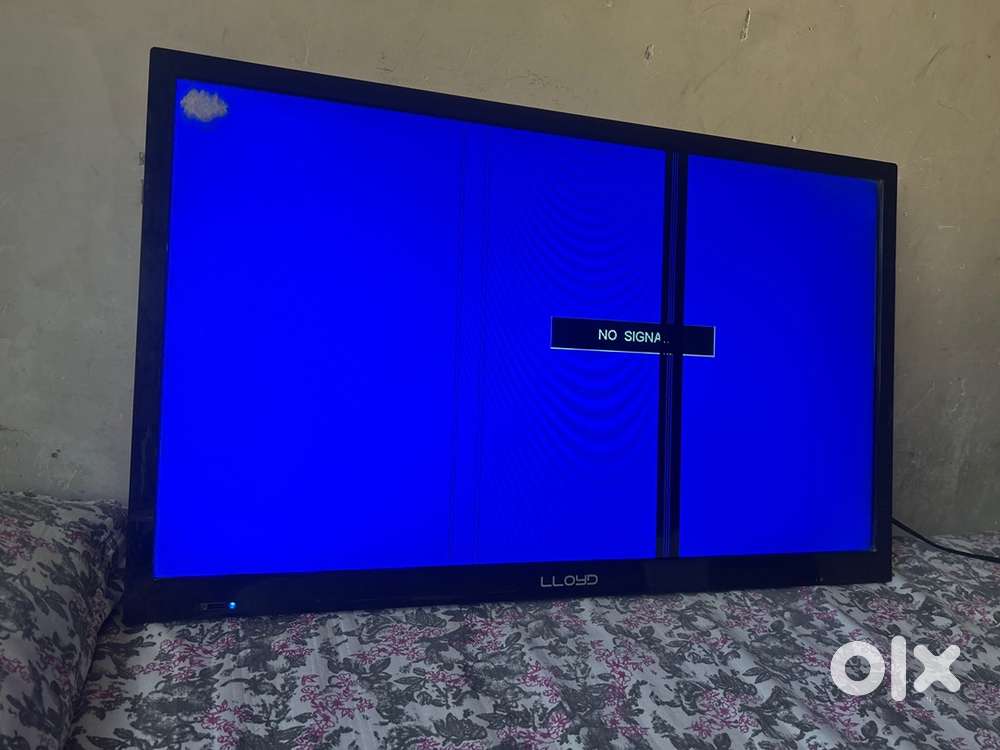 Lloyd tv 5 years old