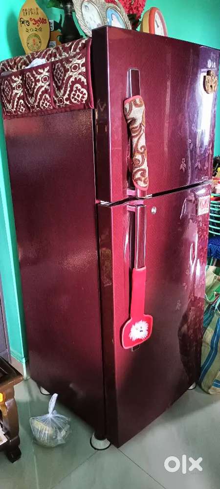 LG Refrigerator double door