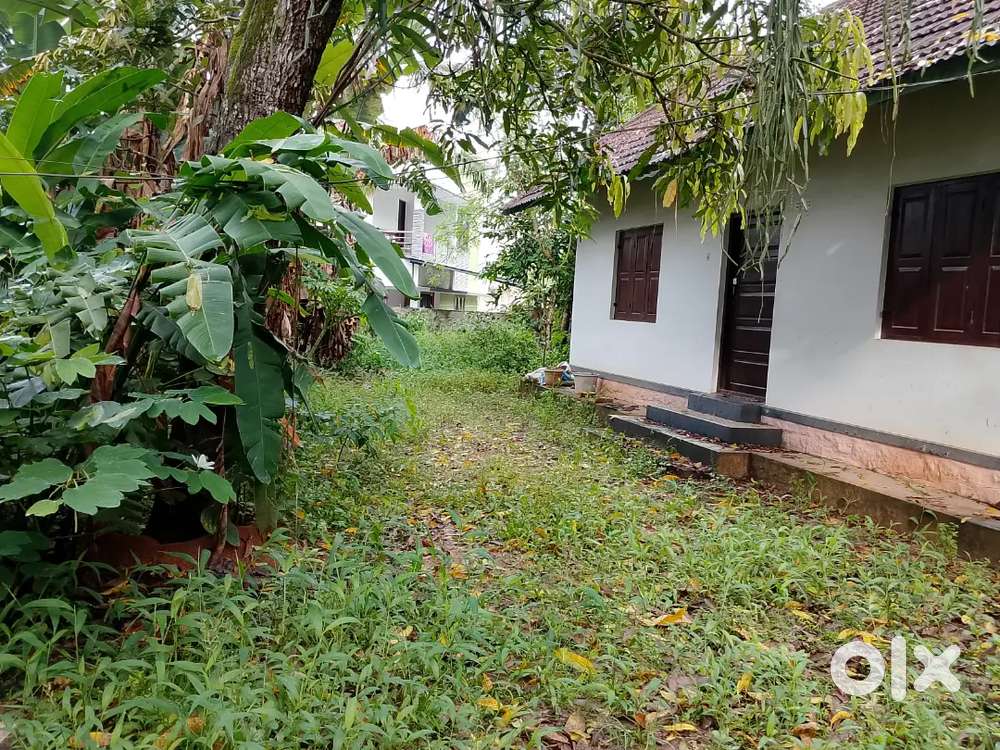 Thirumala Vettamukku Near Petrol pump 6 CentDryLand Per Cent 14 Lakhs