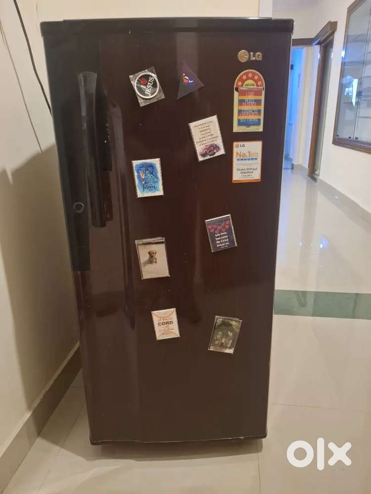 LG Fridge (185 litres) and Samsung ecobubble (6kg)