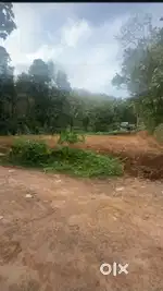 കരിക്കോട്ടക്കരി അനപ്പന്തി ഹൈവ സൈഡ്