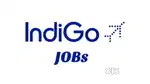 AIRPORT LARGEST JOBS VACANCY GROUND STAFF TICKET CHECKER OR DRIVER