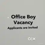 Office Boy Wanted