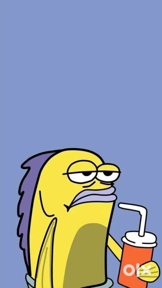 Seeking Job in Supervisor role in Packaging, Housekeeping & FO.