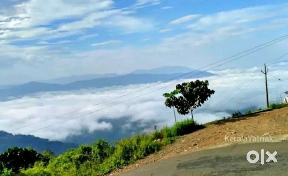 12.5 Cent Land For Sale