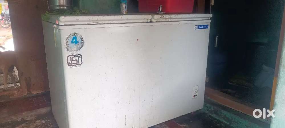 BLUESTAR  DEEP FREEZER