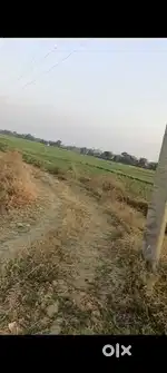 Land 2 Kattha on 90 road