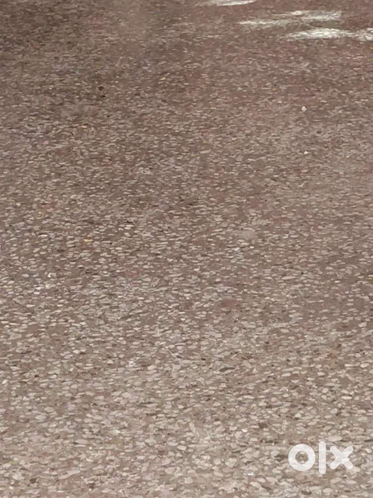 Need Girl roomet  2 bhk independent flat