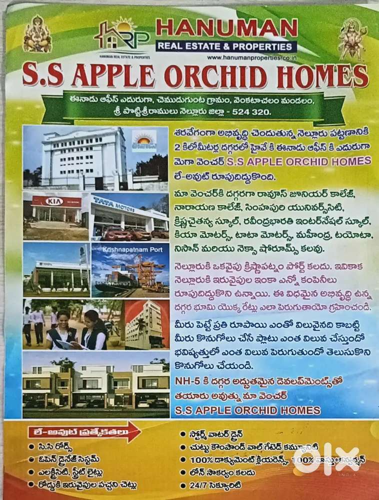 MJ, properties Nellore