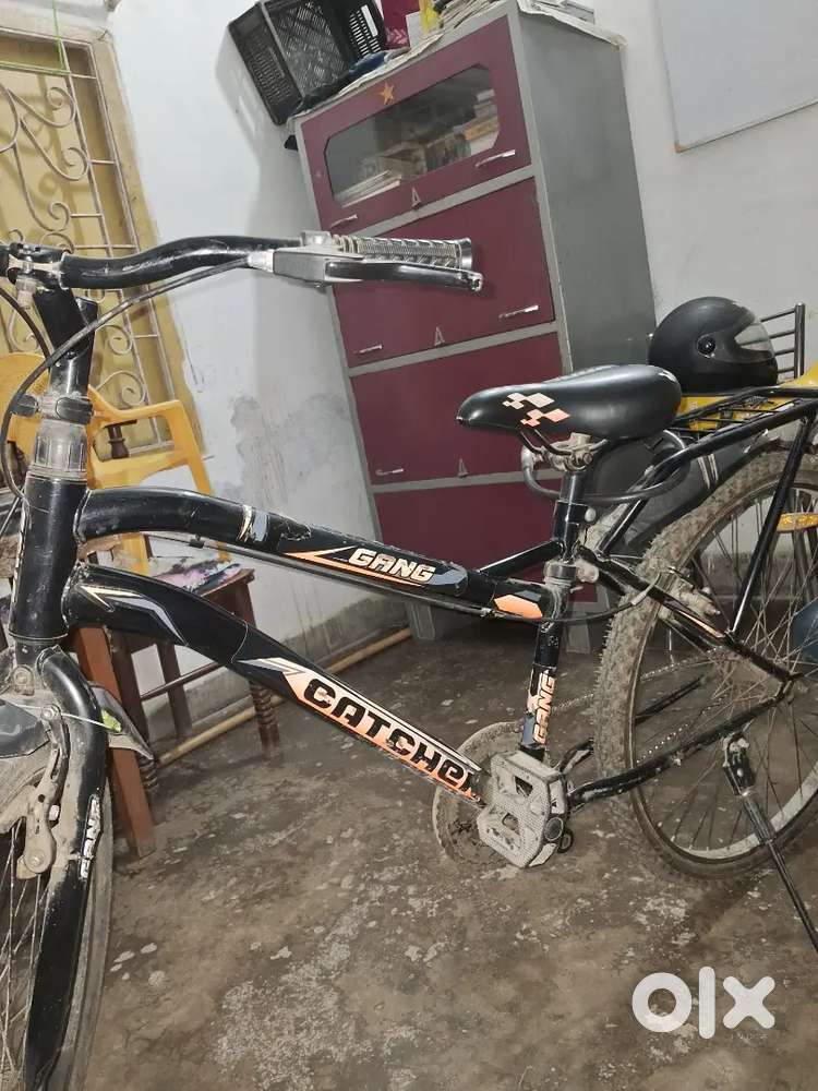 Gang cycle ( urgent sale )