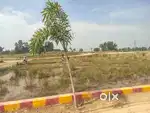 इकना स्टेडियम से 10 मिनट की दूरी पर प्लांट जिला पंचायत सेअप्रूव्ड