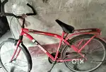 Bycycle Gang 26