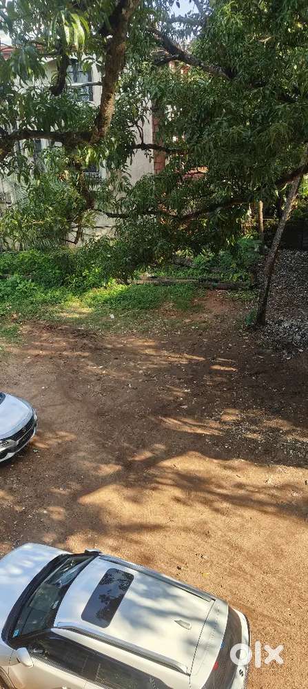 रायपुरा ओपेरा  हॉस्पिटल के पीछे में रोड के नजदीक में प्लॉट