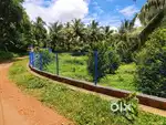 Kambi veli net sneha mathil contractor, low cost fencing for compound