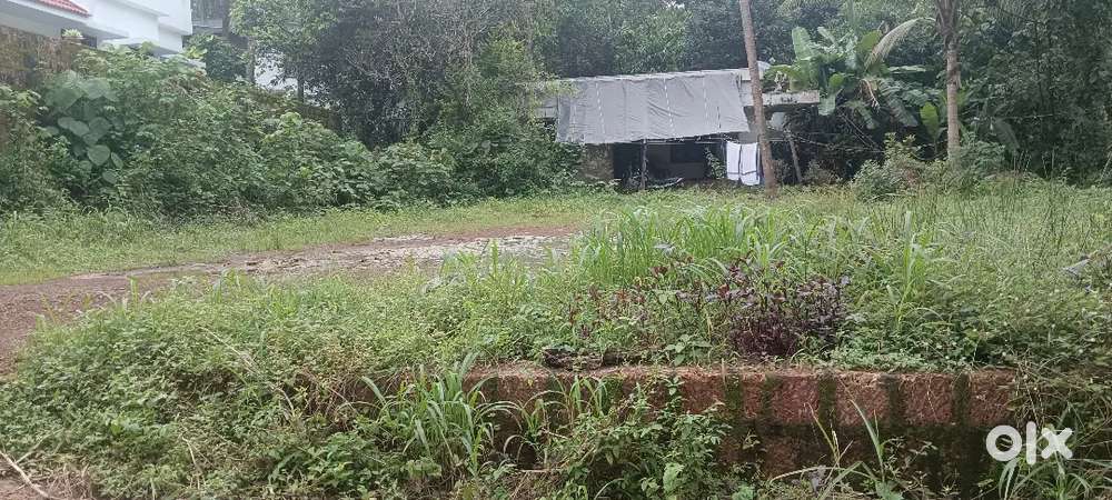 Thottada High School Road, 250 MTRS away from main highway road,