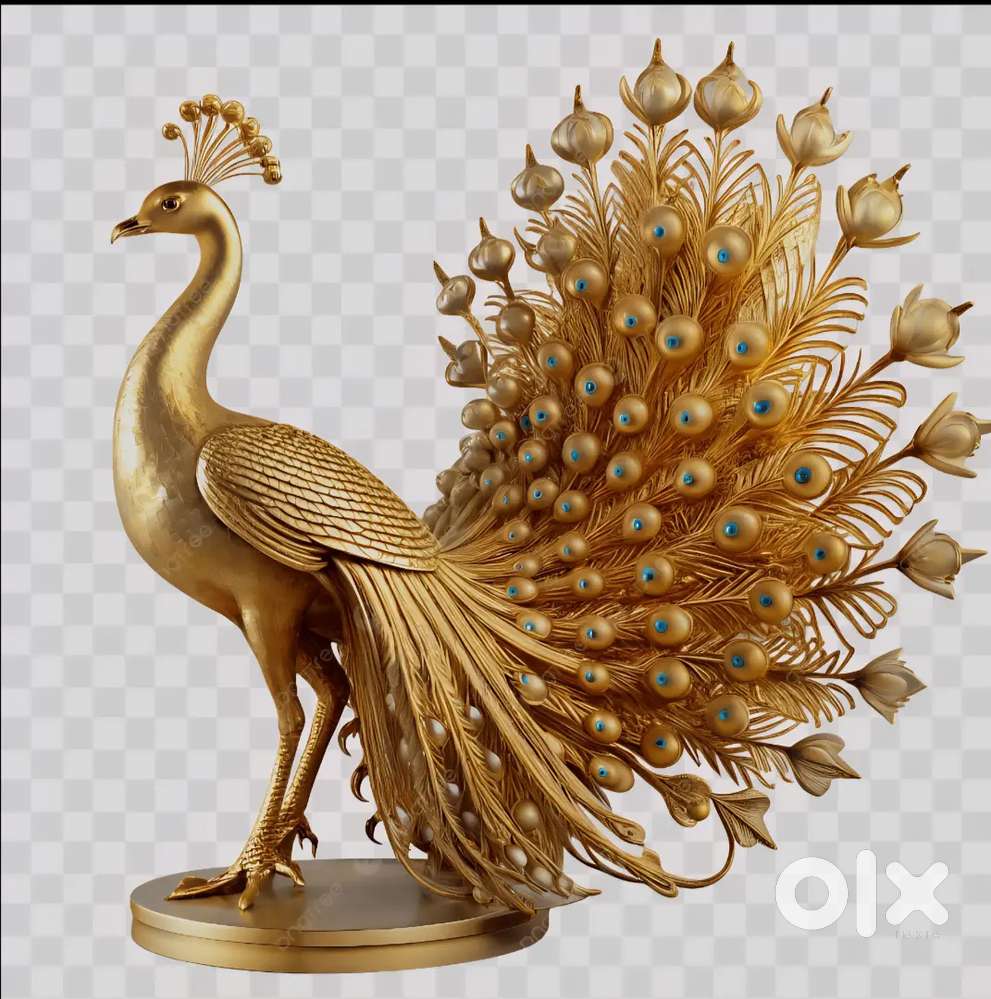 Residential and commercial land at Salaiya