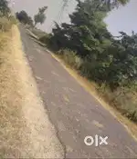 84 कोस महावन डाबर रोड पर 1 बीघे खेत बिकाऊ