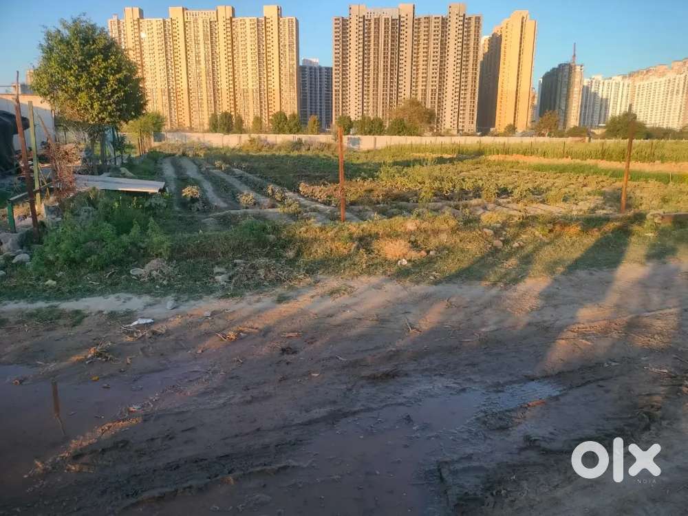 Noida,Sector-150 me plot cheap and Best locality per shandar plot.