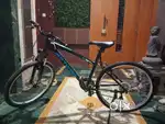 Very cool cycle