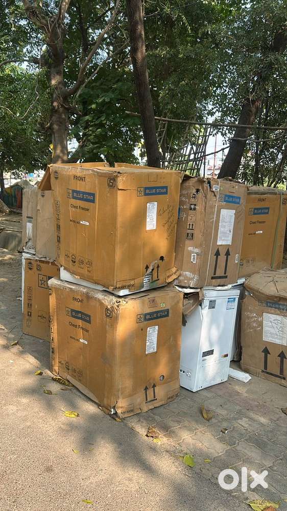 Deep freezer 250 litre bluestar