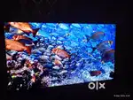 55 inch Bravia smart TV