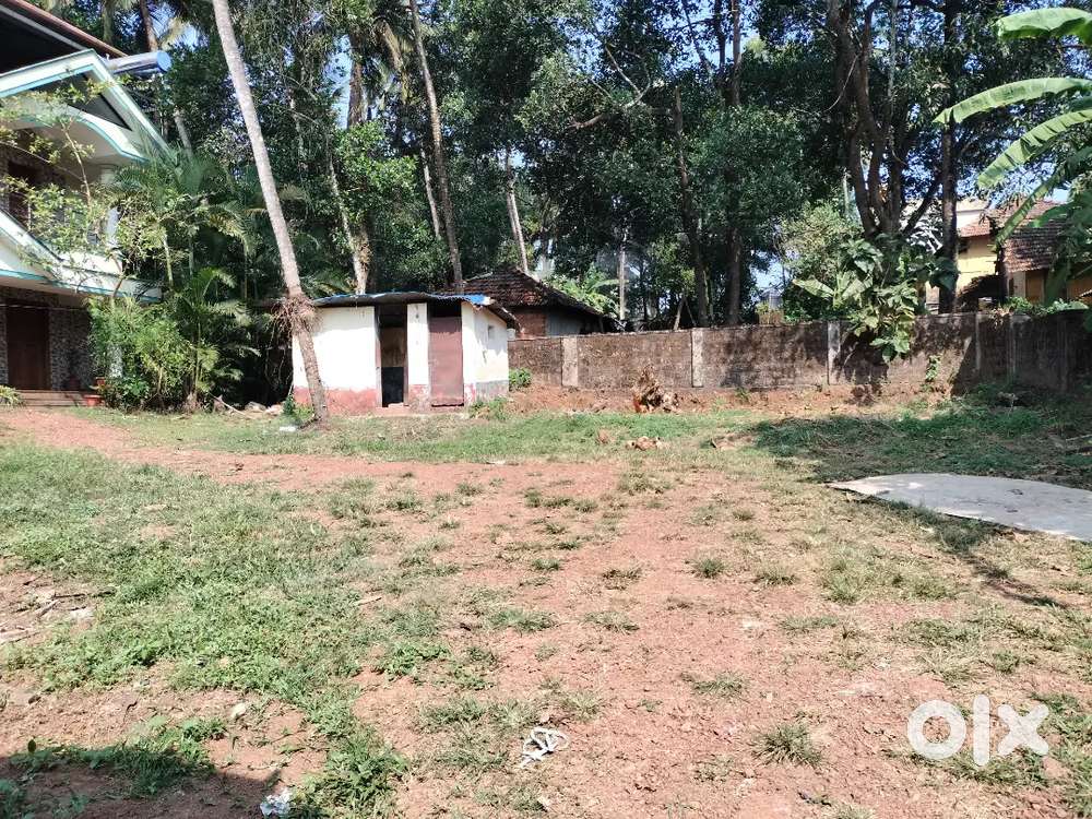 9 cents land for sale in shakthinara