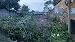 5 dismil land for sell.