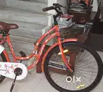 New cycle( lifelong brand)