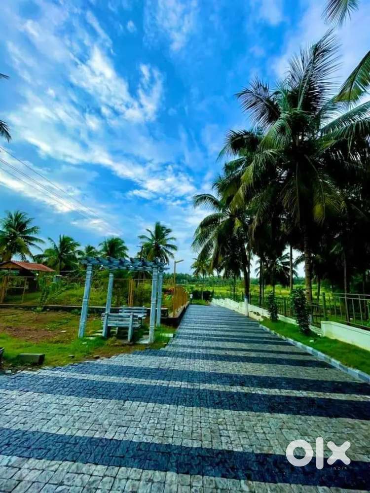 Best Investment Farmland Property For Sale In Nachipalayam