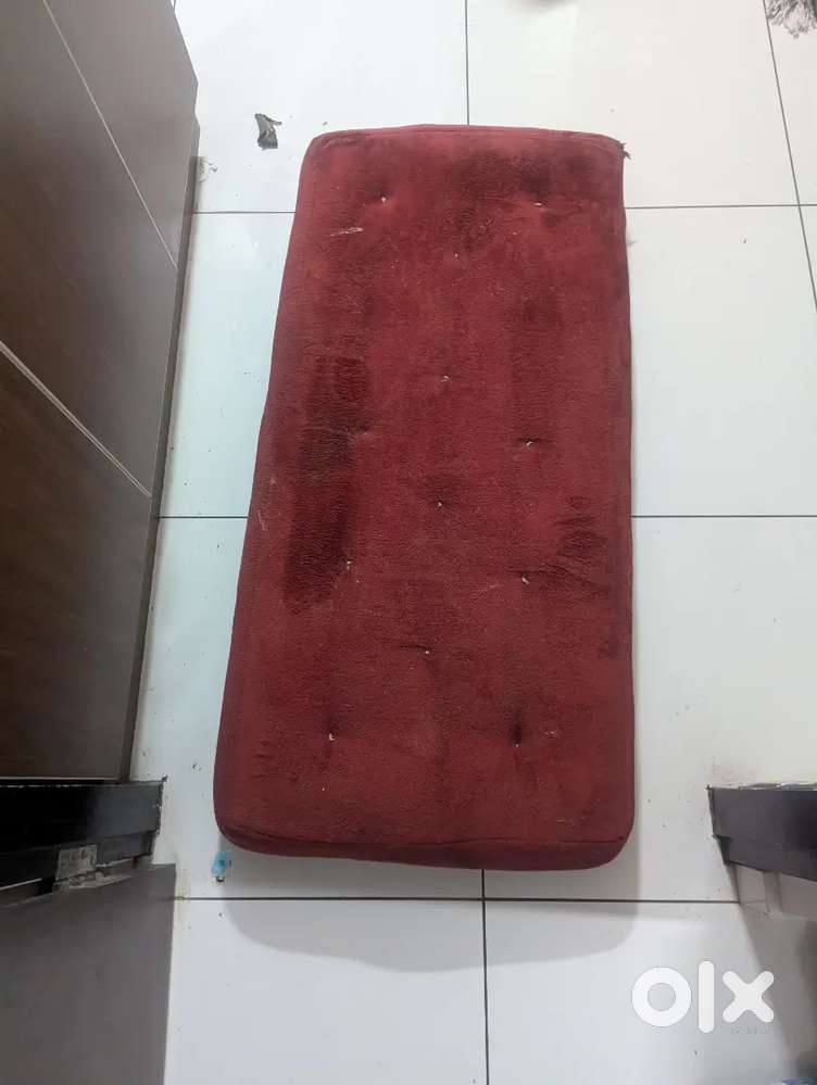 Adult Dog bed