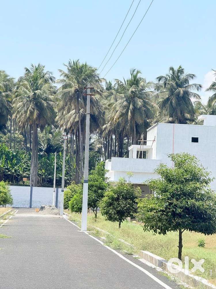 PALAKKAD BYPASS NEAR DTCP APPROVED PLOTS AND VILLAS FOR SALE