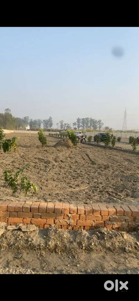 200 Gaj plots near NH-09