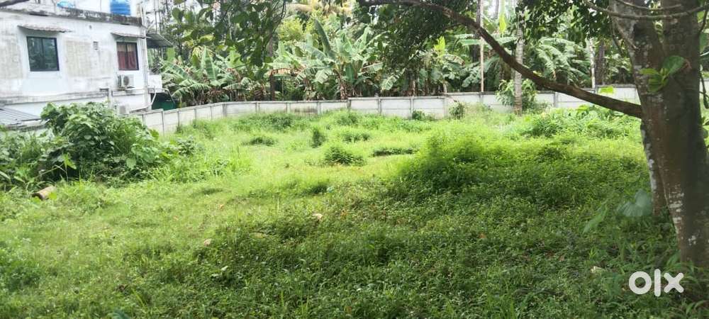28 cent land for sale near Aluva, Rajagiri Hospital 1 km