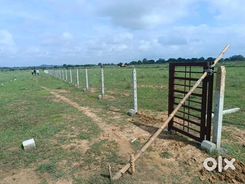 REGISTERED PLOT FOR SALE IN HATA HASEL