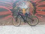 Leader cycle