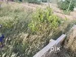 20 cent land with fencing..