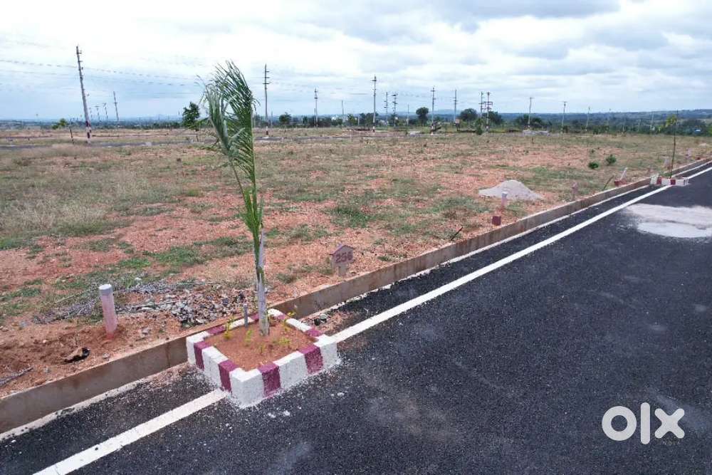 8.5 kms from Mysore City