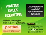 WANTED SALES EXECUTIVE