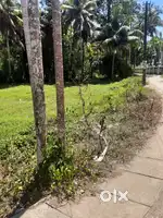 37 cents Residential plot for sale  500m from NH 66  Neendakara