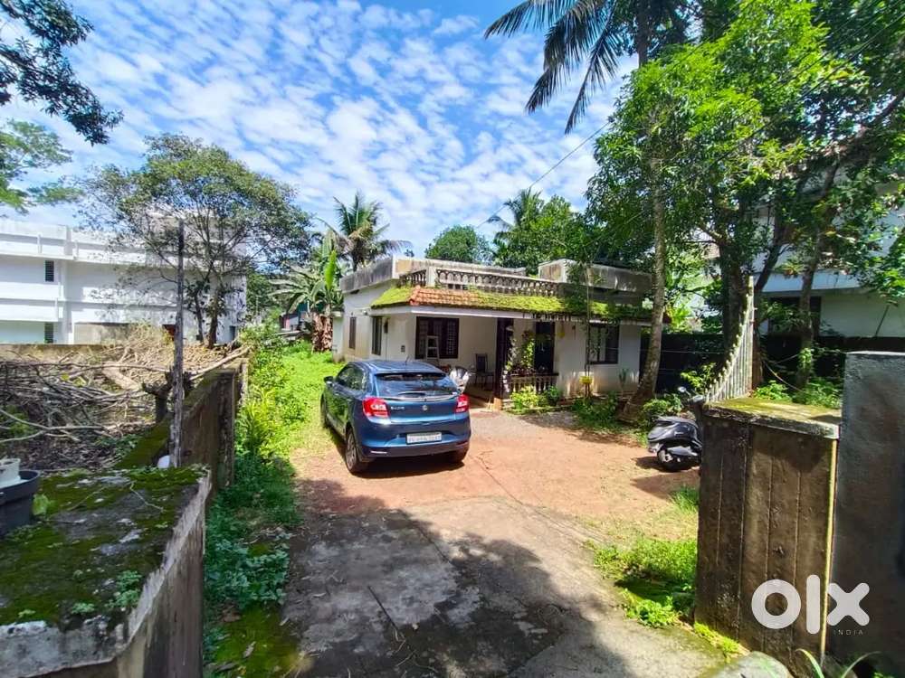 Aluva kodikuthumala. 11,cent land & 3bhk single house for sale.