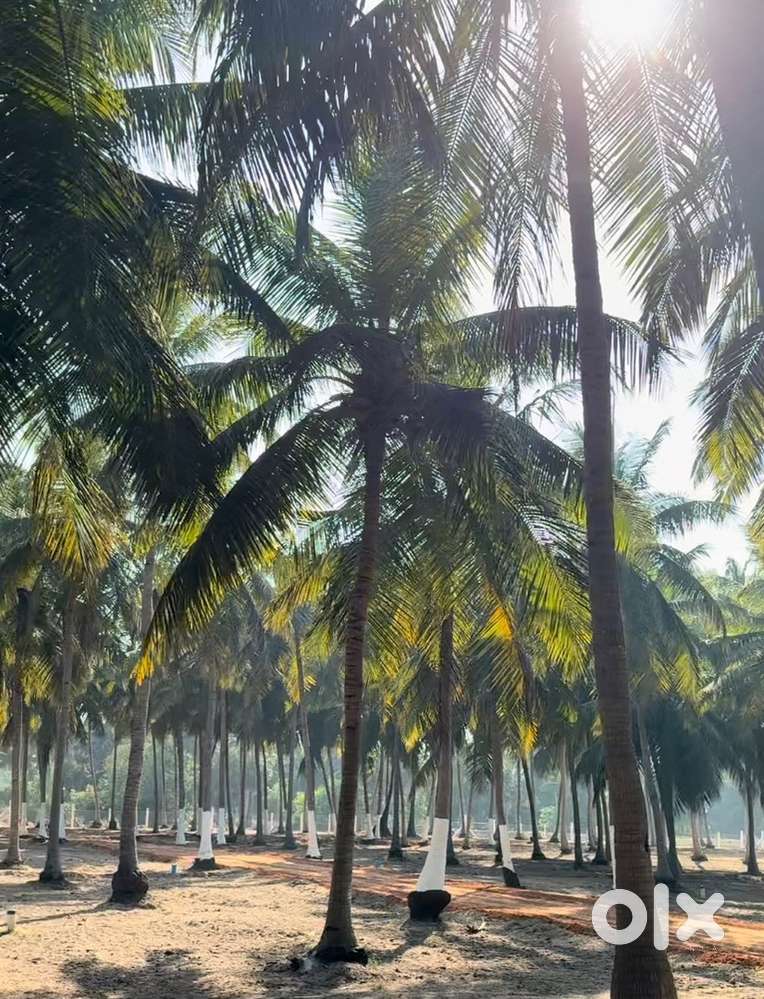 ECR Farm Land (Marakanam)