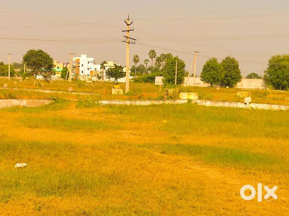 DTCP 100 Ank plot near KP PortMainRoad Bramhadevam,Ideal for farmhouse
