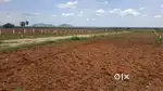 Lowest price open plots