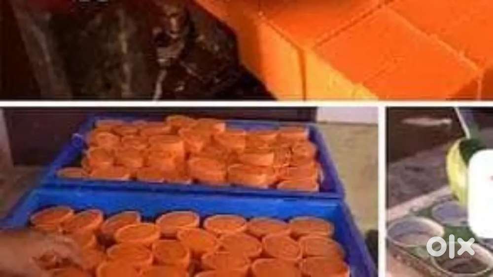 സോപ്പ് നിർമാണ യൂണിറ്റിൽ ഒഴിവ്