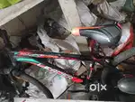 Leader cycle