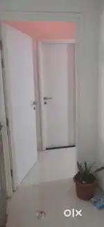 Flat on Rent at Mamurdi