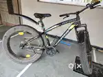 AVON company cycle